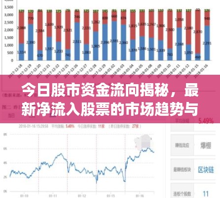 今日股市资金流向揭秘，最新净流入股票的市场趋势与投资机会分析
