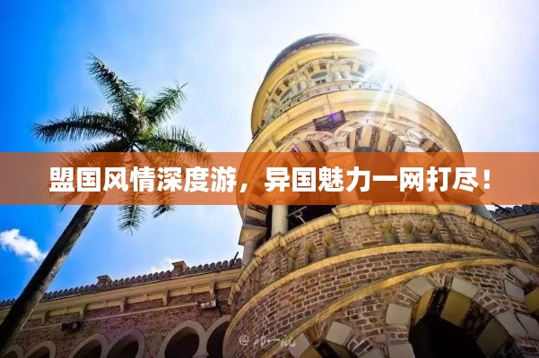 盟国风情深度游，异国魅力一网打尽！