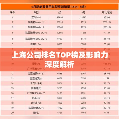 上海公司排名TOP榜及影响力深度解析