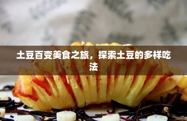 土豆百变美食之旅，探索土豆的多样吃法