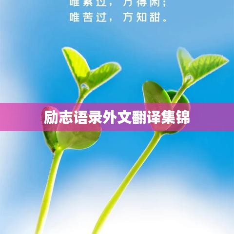 励志语录外文翻译集锦