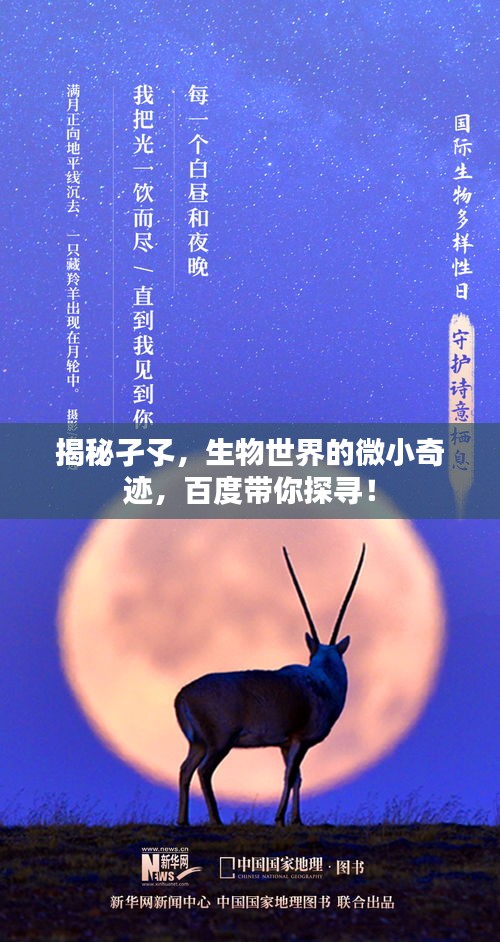 揭秘孑孓，生物世界的微小奇迹，百度带你探寻！