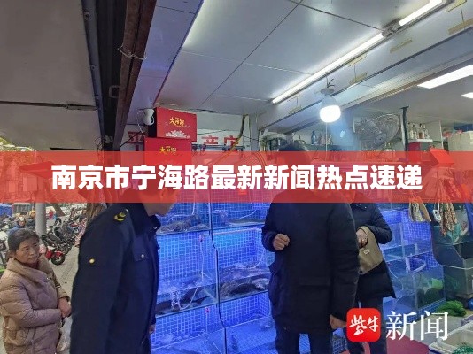 南京市宁海路最新新闻热点速递