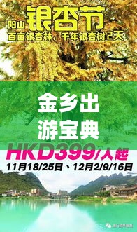 金乡出游宝典，探秘最佳旅行攻略，带你畅游无限！