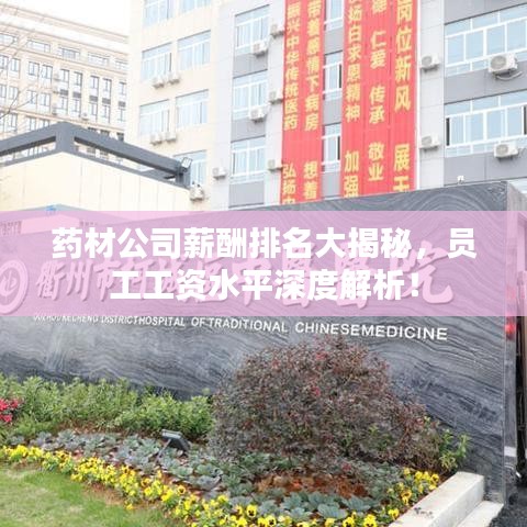 药材公司薪酬排名大揭秘，员工工资水平深度解析！