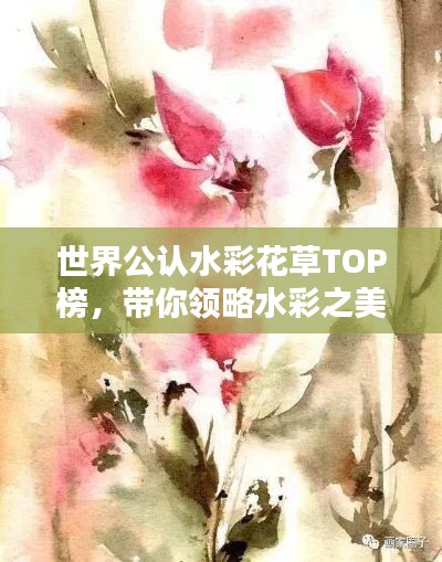 世界公认水彩花草TOP榜，带你领略水彩之美！