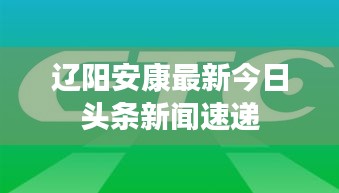 辽阳安康最新今日头条新闻速递