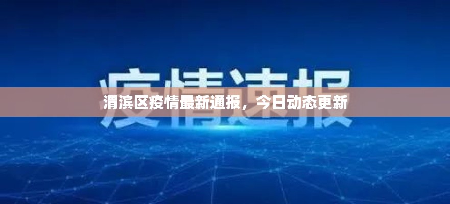 渭滨区疫情最新通报，今日动态更新