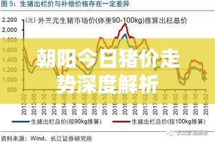 朝阳今日猪价走势深度解析