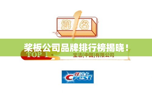 桨板公司品牌排行榜揭晓！