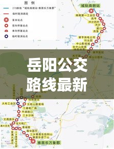 岳阳公交路线最新攻略图，轻松掌握公共交通路线，出行无忧！