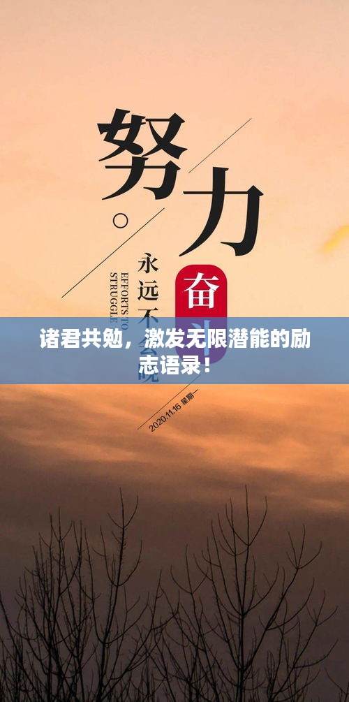 诸君共勉，激发无限潜能的励志语录！