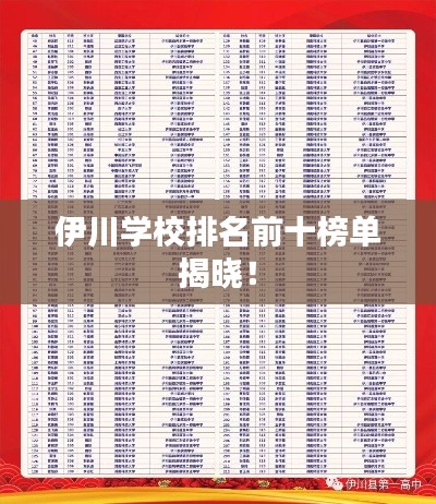 伊川学校排名前十榜单揭晓！