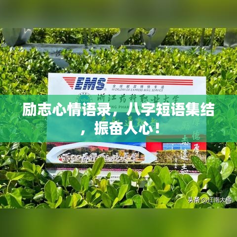 励志心情语录，八字短语集结，振奋人心！