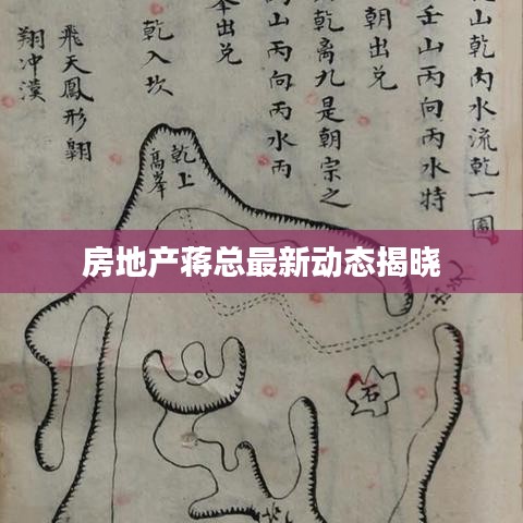 房地产蒋总最新动态揭晓