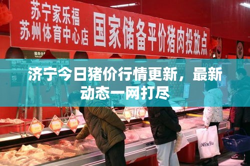 济宁今日猪价行情更新，最新动态一网打尽
