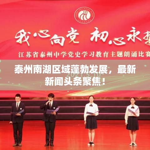 泰州南湖区域蓬勃发展，最新新闻头条聚焦！