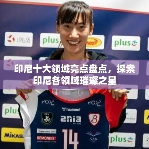 印尼十大领域亮点盘点，探索印尼各领域璀璨之星
