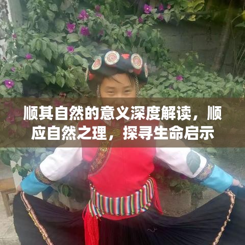 顺其自然的意义深度解读，顺应自然之理，探寻生命启示