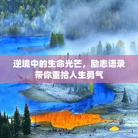 逆境中的生命光芒，励志语录带你重拾人生勇气