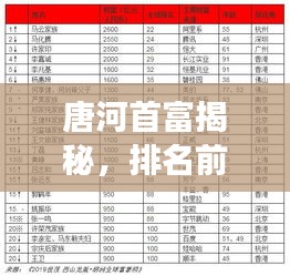 唐河首富揭秘，排名前十富豪榜单重磅出炉！