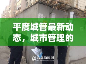 平度城管最新动态，城市管理的创新举措与新闻头条