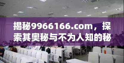 揭秘9966166.com，探索其奥秘与不为人知的秘密