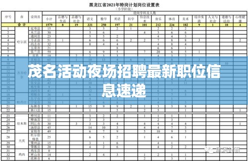 茂名活动夜场招聘最新职位信息速递