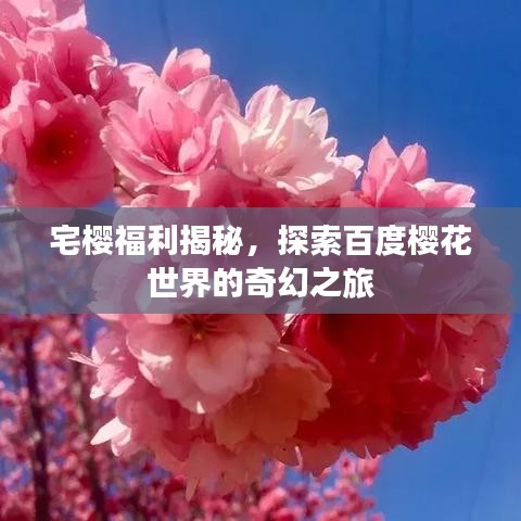 宅樱福利揭秘，探索百度樱花世界的奇幻之旅