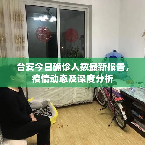台安今日确诊人数最新报告，疫情动态及深度分析