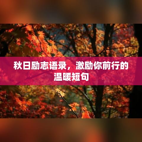 秋日励志语录，激励你前行的温暖短句