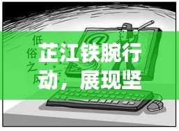 芷江铁腕行动，展现坚决决心与强劲执行力