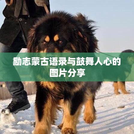 励志蒙古语录与鼓舞人心的图片分享