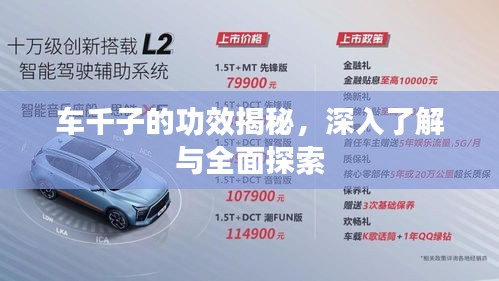 车千子的功效揭秘，深入了解与全面探索