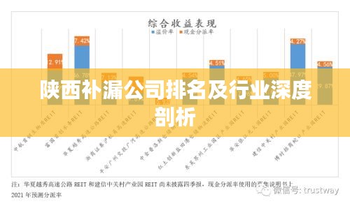 陕西补漏公司排名及行业深度剖析