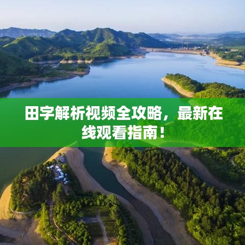田字解析视频全攻略，最新在线观看指南！