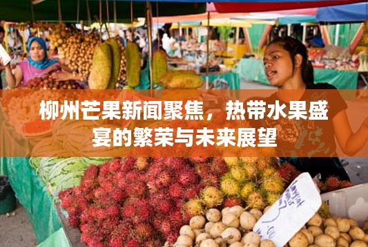 柳州芒果新闻聚焦，热带水果盛宴的繁荣与未来展望
