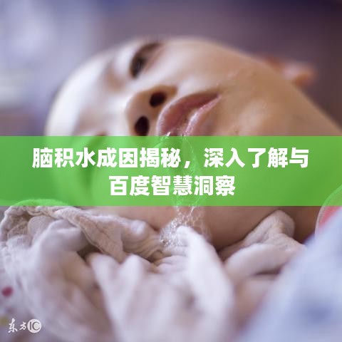 脑积水成因揭秘，深入了解与百度智慧洞察