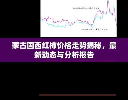 蒙古国西红柿价格走势揭秘，最新动态与分析报告