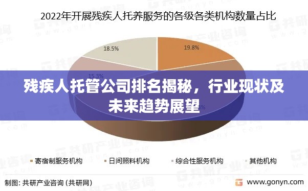 残疾人托管公司排名揭秘，行业现状及未来趋势展望