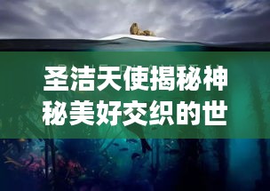 圣洁天使揭秘神秘美好交织的世界