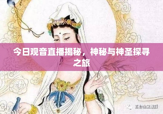 今日观音直播揭秘，神秘与神圣探寻之旅