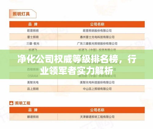 净化公司权威等级排名榜，行业领军者实力解析