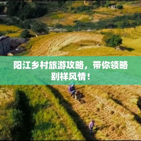 阳江乡村旅游攻略，带你领略别样风情！