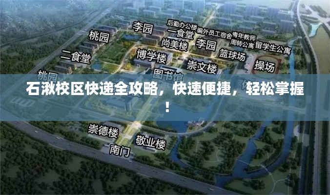 石湫校区快递全攻略，快速便捷，轻松掌握！