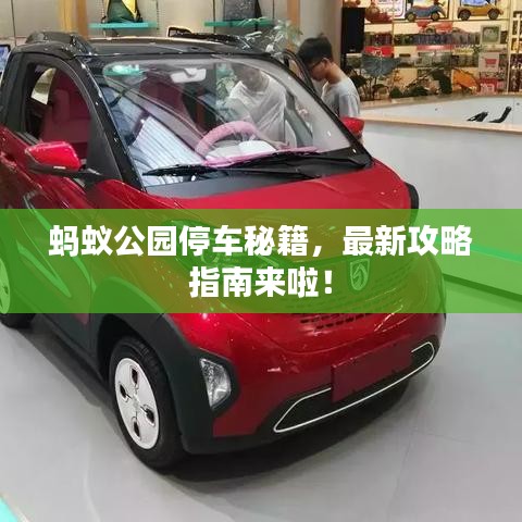 蚂蚁公园停车秘籍，最新攻略指南来啦！