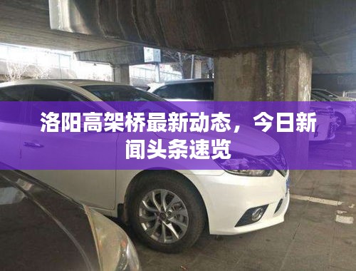 洛阳高架桥最新动态，今日新闻头条速览