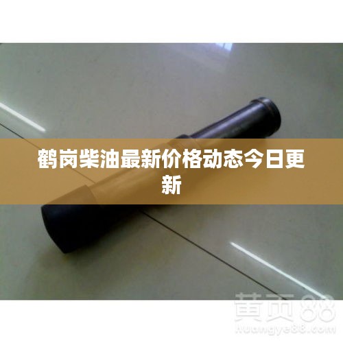 鹤岗柴油最新价格动态今日更新