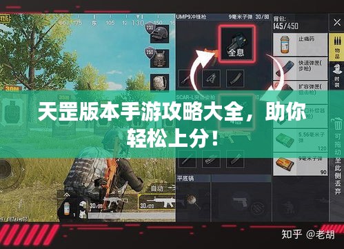 天罡版本手游攻略大全，助你轻松上分！