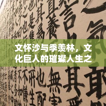 文怀沙与季羡林，文化巨人的璀璨人生之路